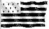 Brittany Flag : striking resemblance, isn't it ? 